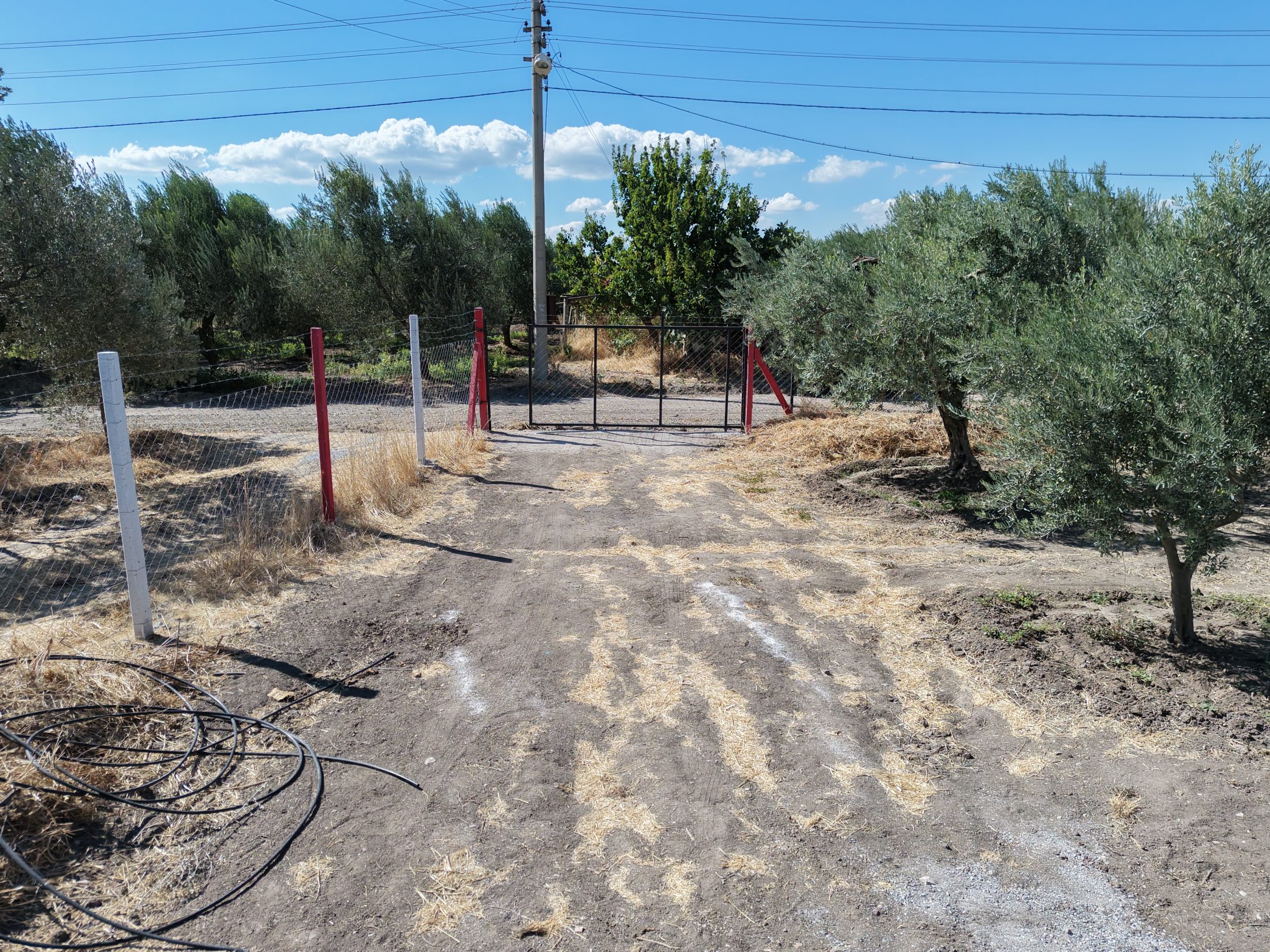 Ballıca Mahallesi Elektrik Su ve Evi Olan 1.500 m² Satılık Bahçe 18