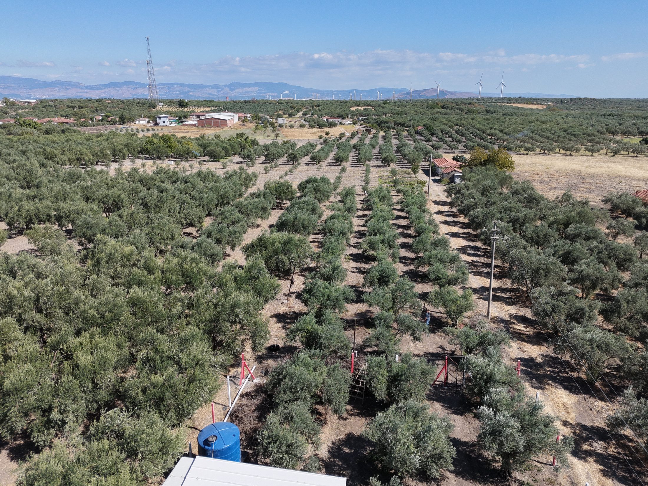 Ballıca Mahallesi Elektrik Su ve Evi Olan 1.500 m² Satılık Bahçe 13