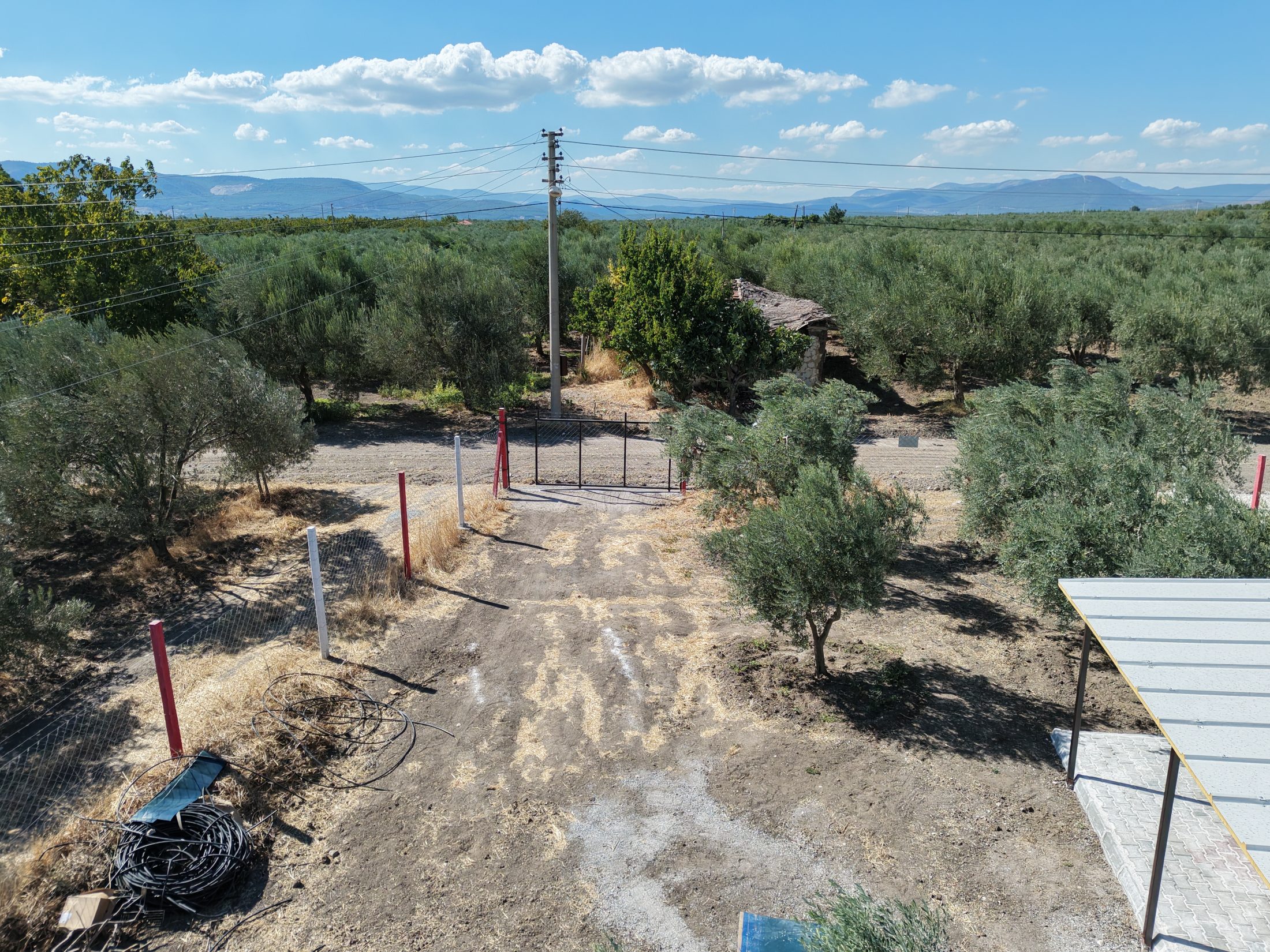 Ballıca Mahallesi Elektrik Su ve Evi Olan 1.500 m² Satılık Bahçe 16